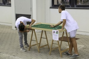 subbuteo